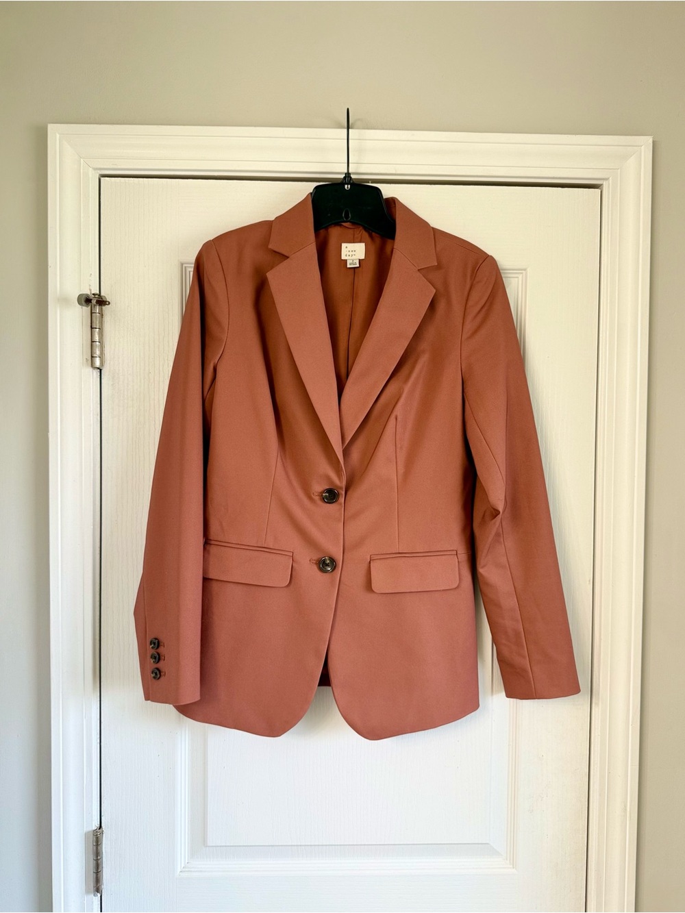 NWOT “a new day” Rust-Colored Two-Button Blazer